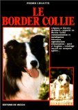 Border collie for sale  Delivered anywhere in UK