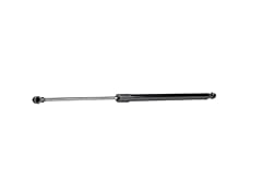 Ridex 219g0729 ammortizatore usato  Spedito ovunque in Italia 