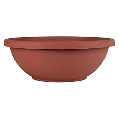 Companies shallow planter for sale  Delivered anywhere in USA 