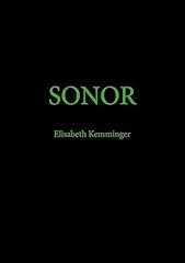 Sonor gebraucht kaufen  Wird an jeden Ort in Deutschland