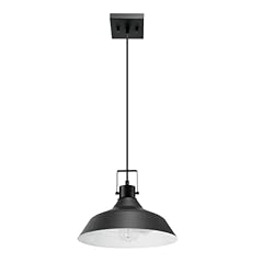 Globe electric 44476 for sale  Delivered anywhere in USA 