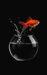 Taccuino pesce rosso usato  Spedito ovunque in Italia 