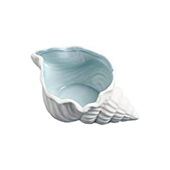 Dulrlly sea shells for sale  Delivered anywhere in USA 