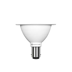 Beneito faure lampadina usato  Spedito ovunque in Italia 
