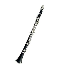 Clarinet adult hard for sale  Delivered anywhere in Ireland