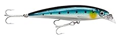 Rapala rap saltwater for sale  Delivered anywhere in Ireland