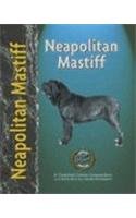 Neapolitan mastiff for sale  Delivered anywhere in Ireland