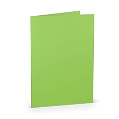 Paperado 250 faltkarten gebraucht kaufen  Wird an jeden Ort in Deutschland