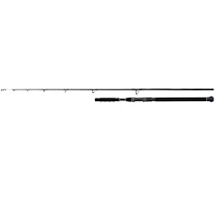 Shimano beastmaster catfish usato  Spedito ovunque in Italia 