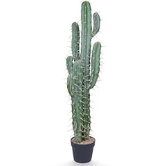 Boohex artificial cactus for sale  Delivered anywhere in USA 