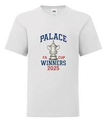 Cup winners 2025 for sale  Delivered anywhere in UK