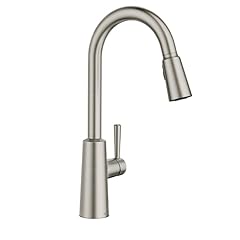 Moen riley spot for sale  Delivered anywhere in USA 