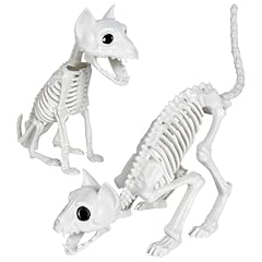 Gonioa pcs skeleton for sale  Delivered anywhere in USA 