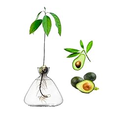 Glass avocado tree for sale  Delivered anywhere in UK