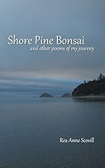 Shore pine bonsai for sale  Delivered anywhere in USA 