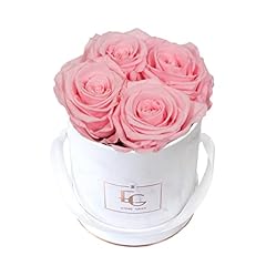 Classic infinity rose for sale  Delivered anywhere in UK