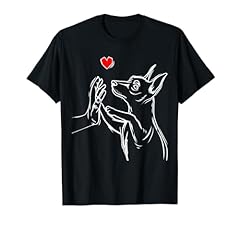 Pinscher nano love usato  Spedito ovunque in Italia 