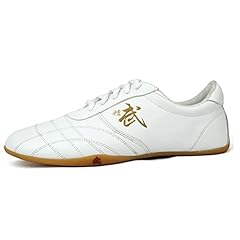 Fayengan scarpe taichi usato  Spedito ovunque in Italia 
