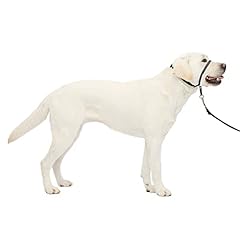Petsafe gentle leader for sale  Delivered anywhere in USA 