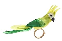 Kim seybert parakeet for sale  Delivered anywhere in USA 