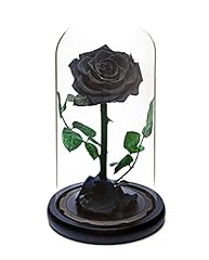 Rosa eterna per usato  Spedito ovunque in Italia 