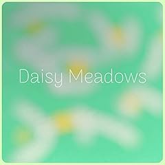 Daisy meadows gebraucht kaufen  Wird an jeden Ort in Deutschland