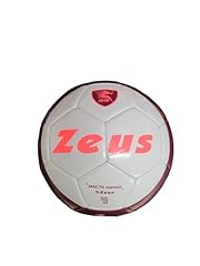 Zeus pallone surface usato  Spedito ovunque in Italia 