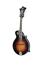 Epiphone inspired gibson for sale  Delivered anywhere in USA 