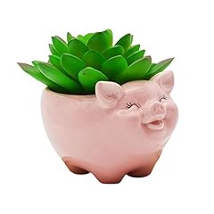 Cuteforyou succulent pots for sale  Delivered anywhere in USA 