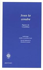 Cendre figures cendrillon d'occasion  Livré partout en France