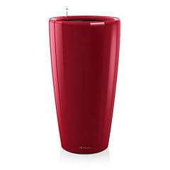 Lechuza rondo premium d'occasion  Livré partout en France