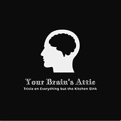 Brains attic for sale  Delivered anywhere in USA 