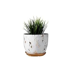 Tenloy marble plant for sale  Delivered anywhere in UK