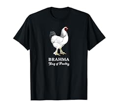 Brahma rooster king for sale  Delivered anywhere in USA 