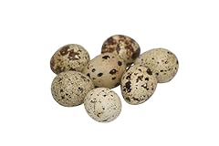 Rilostore pack quail for sale  Delivered anywhere in UK