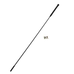 Auto tetto antenna usato  Spedito ovunque in Italia 
