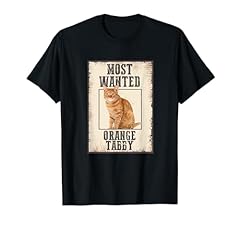 Ginger cat wanted for sale  Delivered anywhere in USA 
