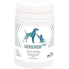 Sum lab vet d'occasion  Livré partout en France
