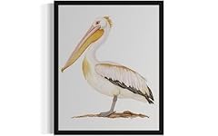 Pelican art print for sale  Delivered anywhere in USA 