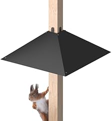Queension metal squirrel for sale  Delivered anywhere in USA 