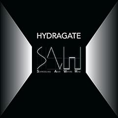 Hydragate usato  Spedito ovunque in Italia 