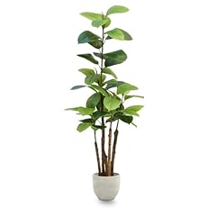 Maia shop ficus gebraucht kaufen  Wird an jeden Ort in Deutschland