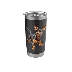 Min pin miniature for sale  Delivered anywhere in USA 