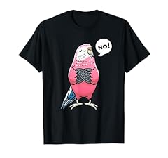 Bourke parrot bird for sale  Delivered anywhere in USA 