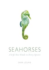 Seahorses life size d'occasion  Livré partout en France