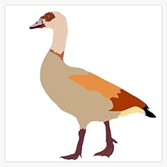 Egyptian goose window for sale  Delivered anywhere in USA 