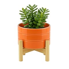 Sagebrook home ceramic for sale  Delivered anywhere in USA 