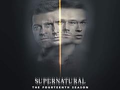 Supernatural season 14 usato  Spedito ovunque in Italia 