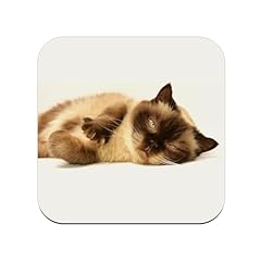 Verre bois chaton d'occasion  Livré partout en France