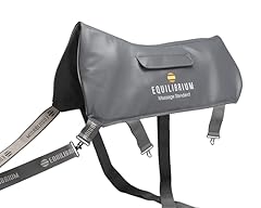 Equilibrium therapy massage d'occasion  Livré partout en France